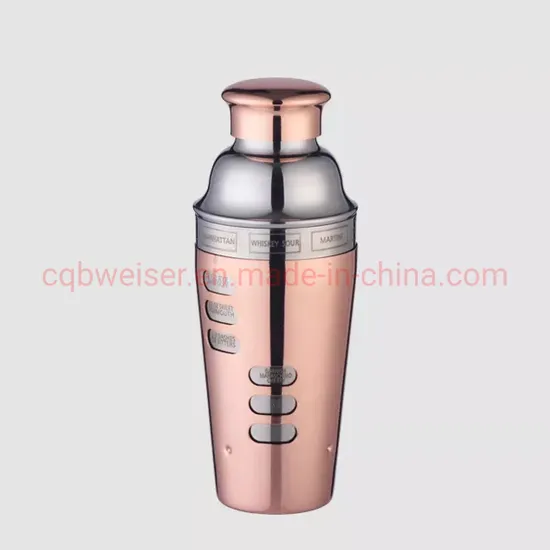 Color Plating Stainless Steel Cocktail Shaker Barware Tools Set 